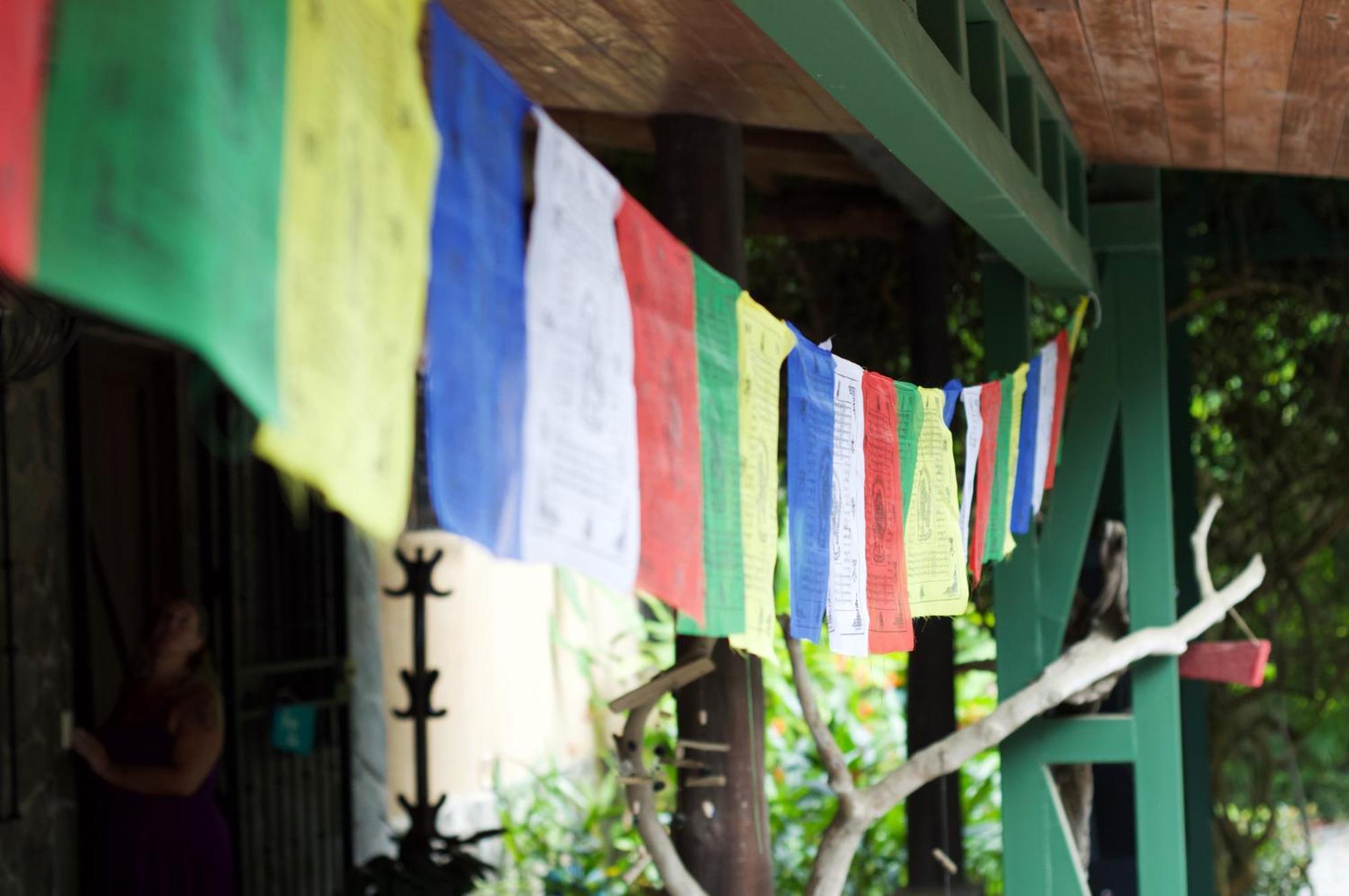Soul Sync Sanctuary Formally Hacienda La Moringa Apartment Playa Hermosa  Luaran gambar